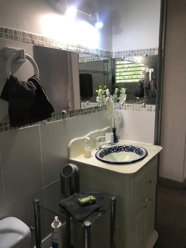 ein Bad mit einem Waschbecken und einem Spiegel in der Unterkunft VILLA LES GRIVES in Le Diamant