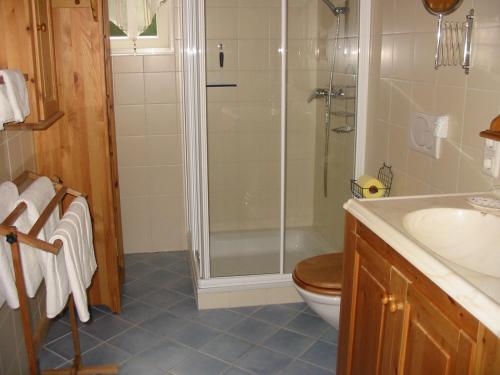 a bathroom with a shower and a toilet and a sink at Ferienwohnung Am Pflanzgarten in Ebensee