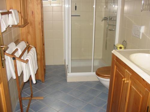a bathroom with a shower and a toilet and a sink at Ferienwohnung Am Pflanzgarten in Ebensee