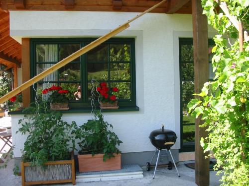 a house with a window with potted plants and a grill at Ferienwohnung Am Pflanzgarten in Ebensee