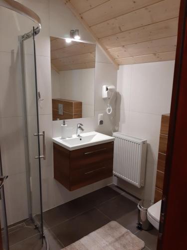 a bathroom with a sink and a shower and a toilet at Apartamenty i pokoje u Klimka in Zakopane