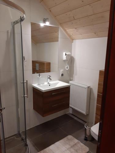 un bagno con lavandino, doccia e WC di Apartamenty i pokoje u Klimka a Zakopane