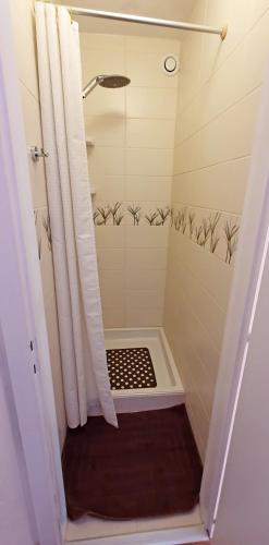 a bathroom with a shower with a shower curtain at Perle de Leysin in Leysin