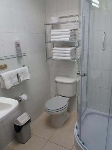 a bathroom with a toilet and a shower and towels at Cabañas Amancay in Puerto Varas