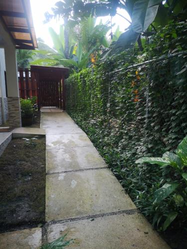a garden with a fence and a walkway at AroCocles (Paula) in Cocles