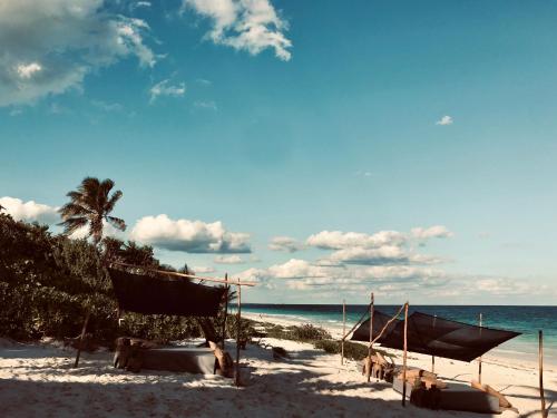 a beach with a hammock and a palm tree and the ocean at Libelula Tulum Beachfront Hotel in Tulum