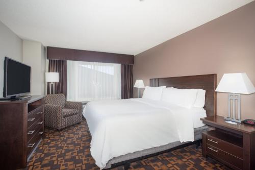 a hotel room with a large bed and a television at Holiday Inn Express & Suites Yankton by IHG in Yankton