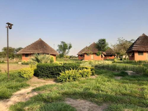 a group of huts in a field with plants at Tangi Safari Lodge in Pakwach East