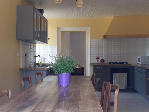 une cuisine avec une table en bois et une plante en pot. dans l'établissement Maison de caractere, à La Chapelle-sur-Furieuse