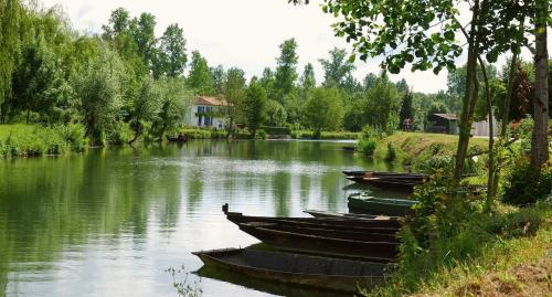 un groupe de bateaux assis au milieu d'une rivière dans l'établissement Chez mémé Lisette, à Coulon