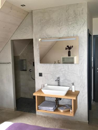 a bathroom with a sink and a shower at Le Manoir de l'Oselière & Spa in Les Hauts-Geneveys