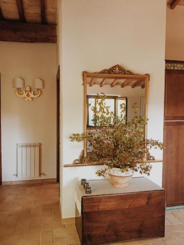 a mirror on a wall with a plant on a chest at La Pupazza Bed&Breakfast in Avigliano