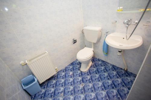 Ванна кімната в Къща за гости Пъстрина