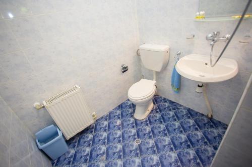a bathroom with a toilet and a sink at Къща за гости Пъстрина in Sŭbotkovtsi