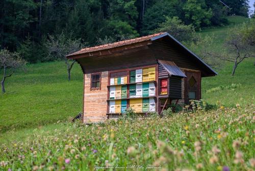 a small house in the middle of a field at Počitniška hiša Koča Dobnik in Lovrenc na Pohorju
