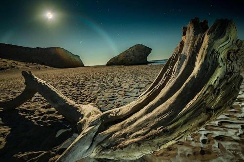 a piece of driftwood on a beach at night at ZARATUSTRA. Rodalquilar CENTRO. GRAN terra. WIFI in Rodalquilar