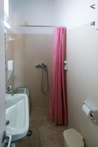 a bathroom with a pink shower curtain and a toilet at Themonia in Apollonia