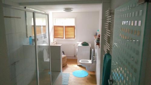 een badkamer met een toilet en een glazen douche bij Pension Wiesental in Wiesental