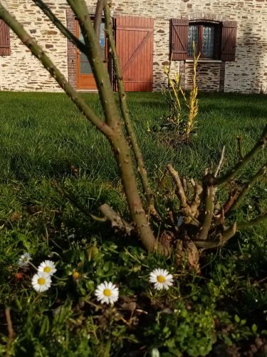 Giardino di Maison MooMoons