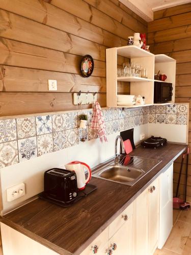 a kitchen with a sink and a counter top at Club Thermal Village Cegled in Cegléd