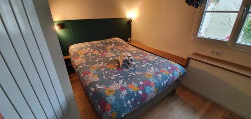 un piccolo cane seduto su un letto in una stanza di Appartement Studio Chanoine a Quimper