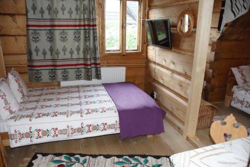コシチェリスコにあるPokoje Gościnne Kościelisko AZ Somaticのベッドルーム(ベッド1台、薄型テレビ付)