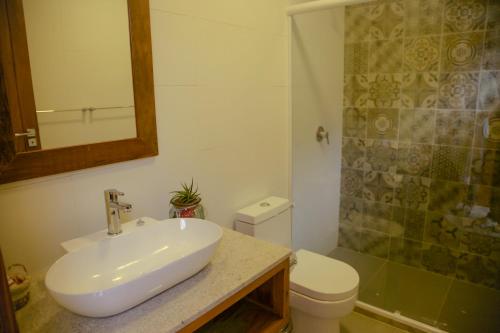 a bathroom with a sink and a toilet and a mirror at Pousada Vila do Loro in Domingos Martins