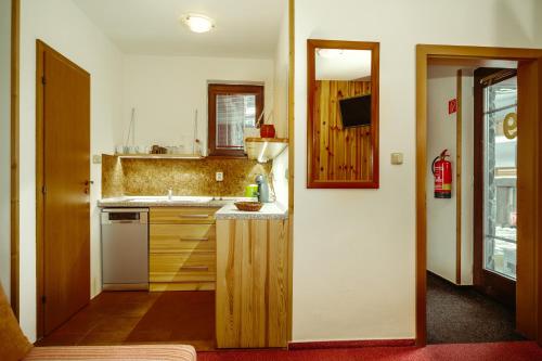 uma pequena cozinha com um lavatório e um balcão em Apartmany Jasna em Demanovska Dolina
