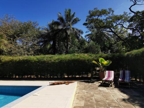 due sedie e una pianta in vaso accanto alla piscina di Tendinkoto Lodge a Sanyang