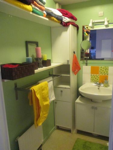 La petite salle de bains est pourvue d'un lavabo et de toilettes. dans l'établissement COSY ROOM CROIX ROUSSE, à Lyon