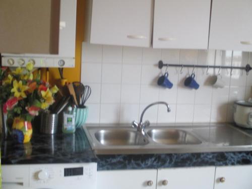 une cuisine avec un évier et un plan de travail dans l'établissement COSY ROOM CROIX ROUSSE, à Lyon