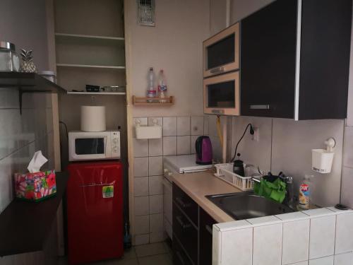 Kuchyňa alebo kuchynka v ubytovaní Erdőkerülő Apartman