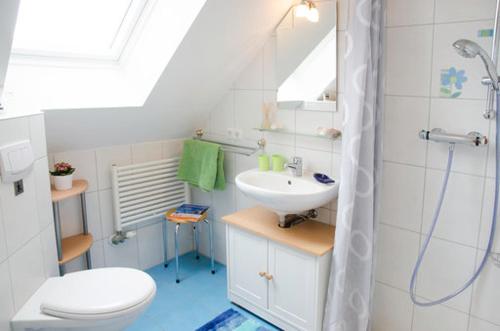 a bathroom with a sink and a toilet and a shower at Ferienwohnung Stockrose in Middelhagen