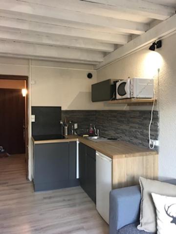 - une cuisine avec un comptoir et un canapé dans la chambre dans l'établissement Appartement centre village, à Villard-de-Lans