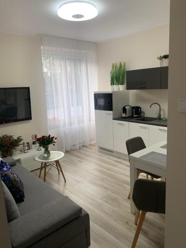 a kitchen and living room with a couch and a table at Apartament Walczaka 11 MIEJSCE PARKINGOWE in Gorzów Wielkopolski