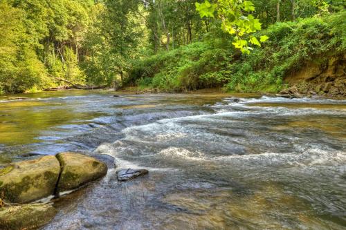 Fotografie z fotogalerie ubytování Creektopia v destinaci Blue Ridge