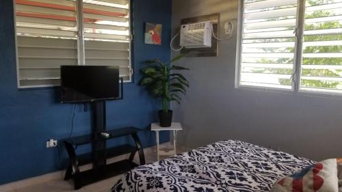 a bedroom with a bed and a tv and a plant at Peña's Palalace Mayagüez in Mayaguez