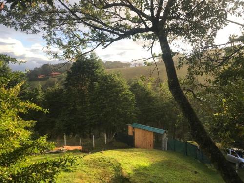 a small shed on a grassy hill with a tree at Cabaña treehouse Mountain View in San Isidro