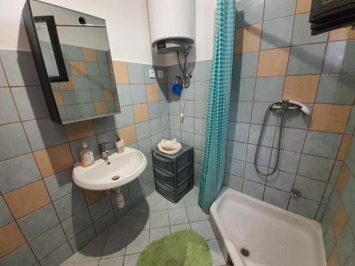 a bathroom with a sink and a toilet and a shower at Apartmani Bellevue in Vir