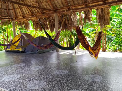 a hammock and tents under a thatched roof at Hostal Recuerdos del Tayrona in El Zaino
