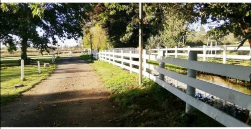 a white fence next to a dirt road next to a field at CABAÑAS LOS CASTAÑOS in Los Ángeles