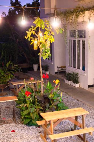 two benches and a tree in front of a building at Kontum Home Sweet Homestay in Kon Tum
