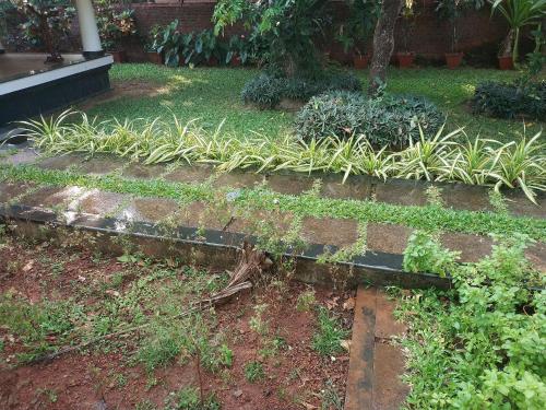 a garden with plants growing on a brick path at Kunnampath Heritage Nalukettu in Trichūr
