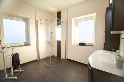 a bathroom with a shower and a sink and a mirror at Dänisches Blockhaus direkt am Wangermeer in Wangerland
