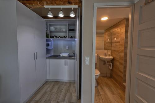 a small bathroom with a toilet and a sink at Caesar Apartments & Rooms in Siófok