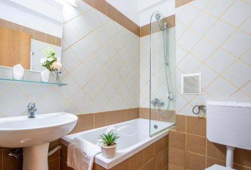 a bathroom with a sink and a shower and a tub at Hotel Dana in Satu Mare