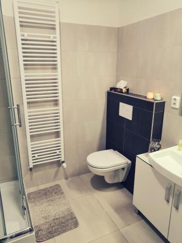 a bathroom with a toilet and a sink and a shower at APARTIA Skořepka, Brno-centrum in Brno
