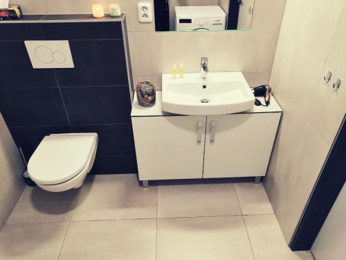 a bathroom with a white sink and a toilet at APARTIA Skořepka, Brno-centrum in Brno
