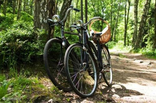 a bike parked on a trail in the woods at Bungalow, vrijstaand, het Vosseven nr 38 in Stramproy
