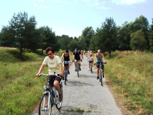 Cykling vid eller i närheten av Rejtek Vendégház